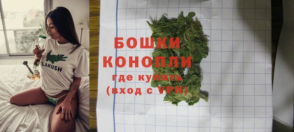 метадон Гусев