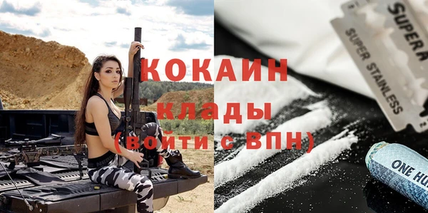 метадон Гусев